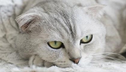 九游sports-VALORANT 青训新人首次登场 表现超出预期，valorant发布