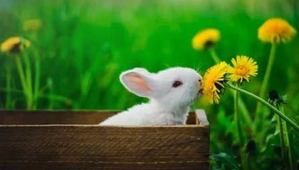 九游sports-VALORANT 青训新人首次登场 表现超出预期，valorant发布